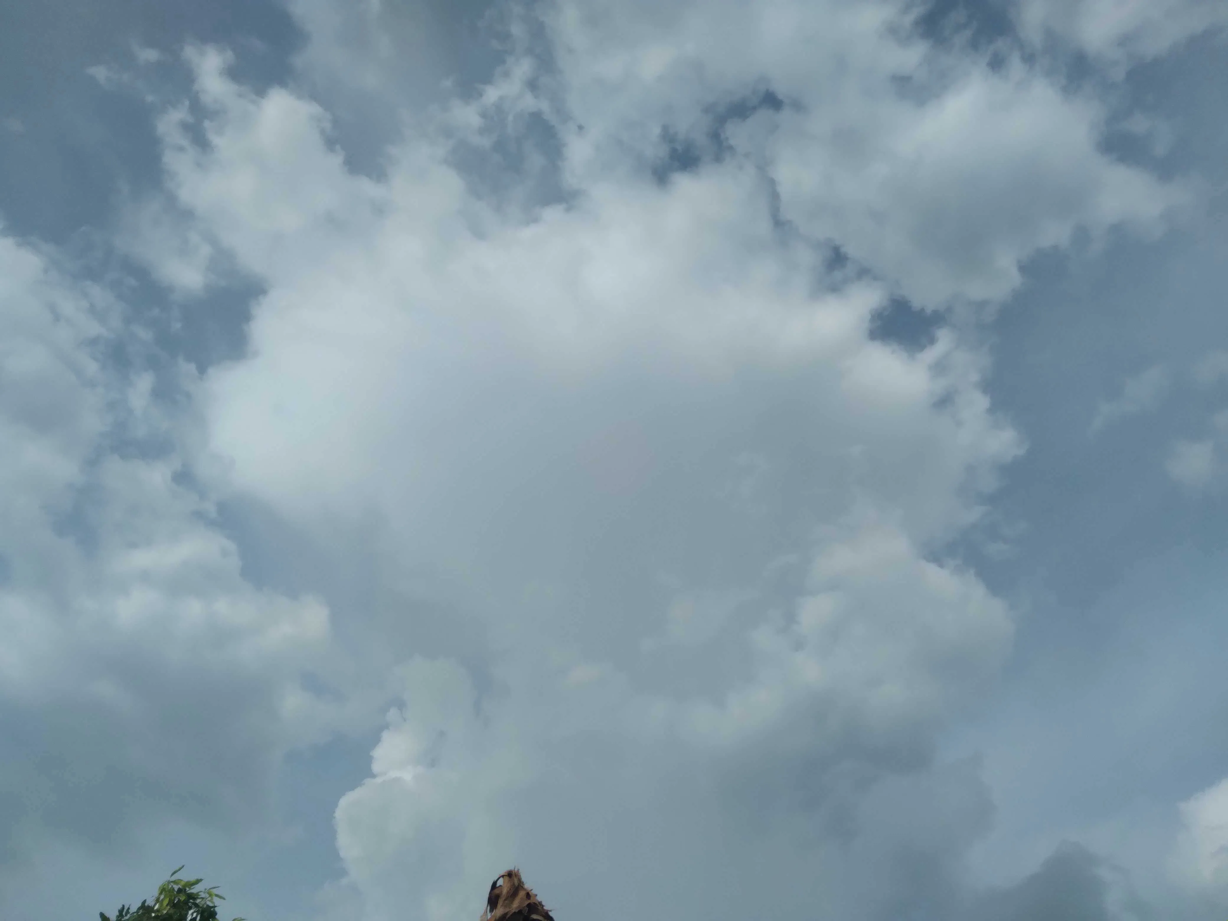 GLOBE dataset cloud image