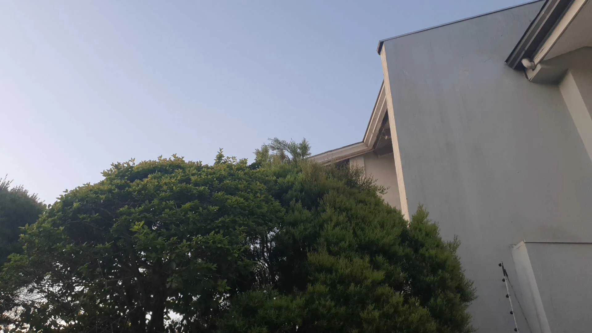 GLOBE dataset cloud image