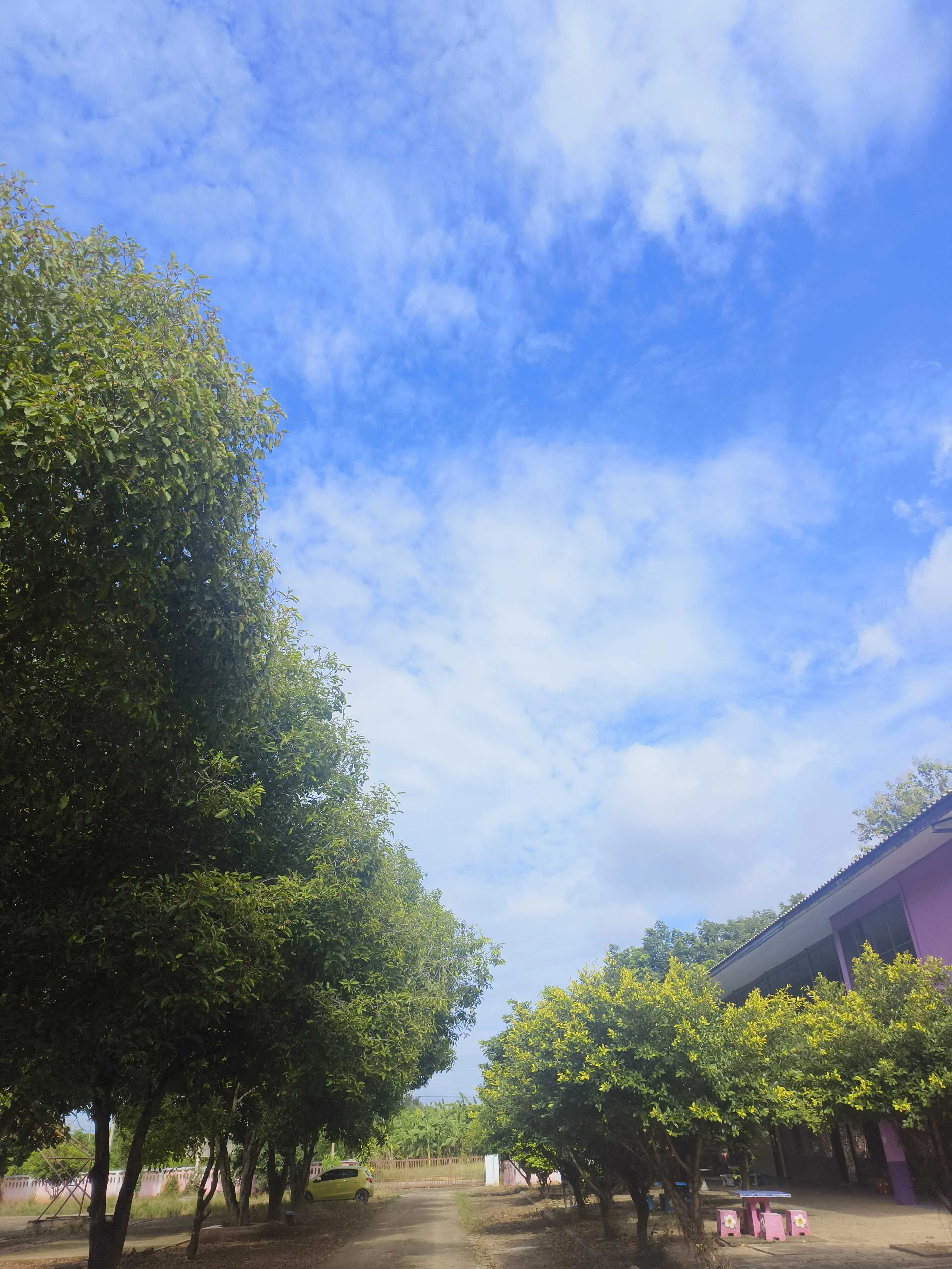 GLOBE dataset cloud image