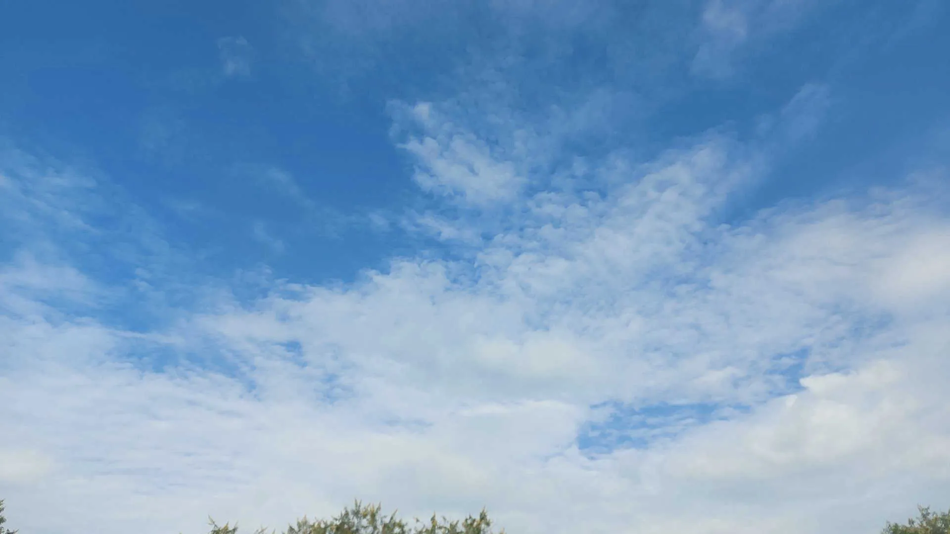 GLOBE dataset cloud image